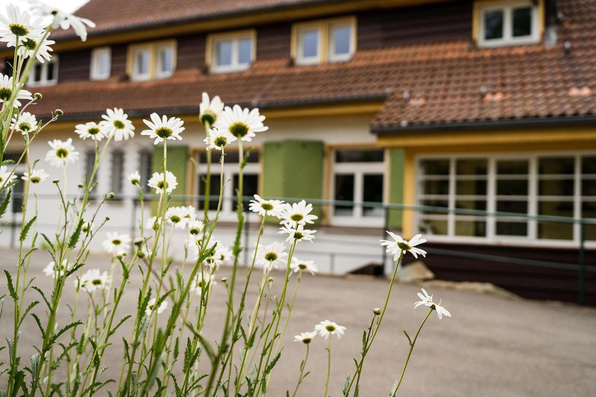 Pension Zum Hexenstieg Schierke Buitenkant foto
