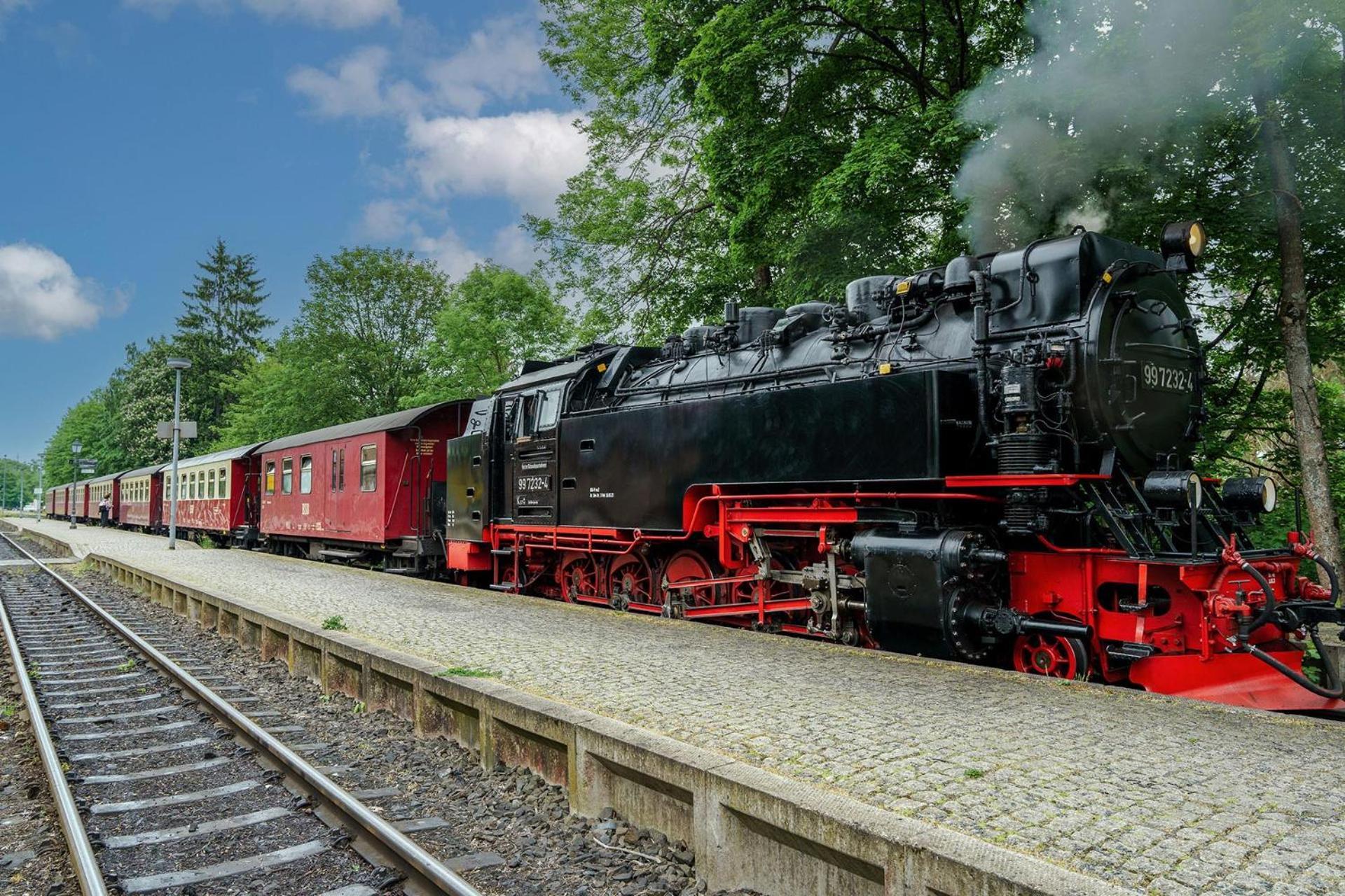 Pension Zum Hexenstieg Schierke Buitenkant foto